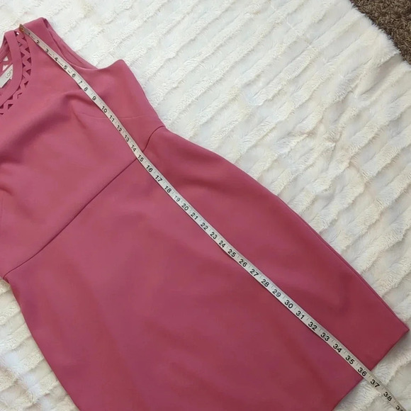 For Kitty Rescue! Loft Cutout Sheath Dress - Picture 12 of 13